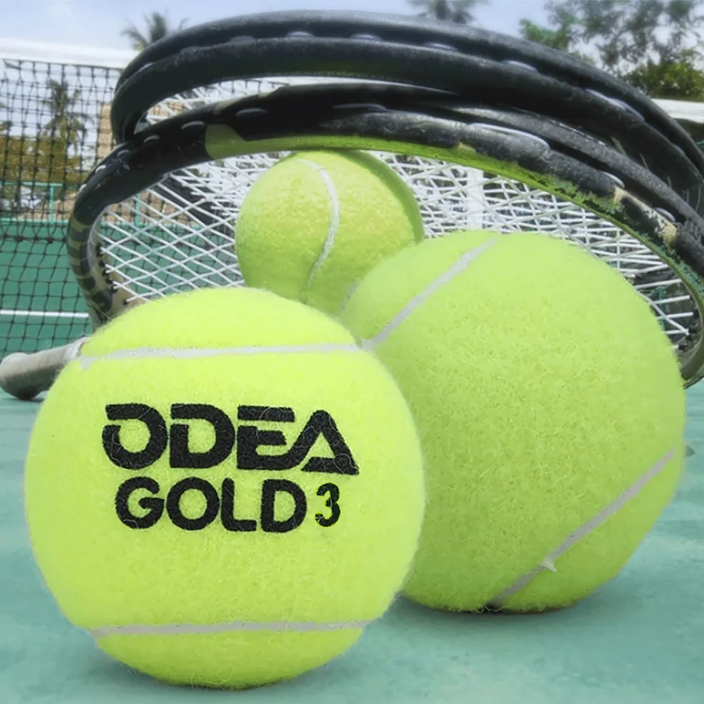 ODEA Gold Training Tennis Balls (Rebound 140-148CM ITF) 60 Pcs